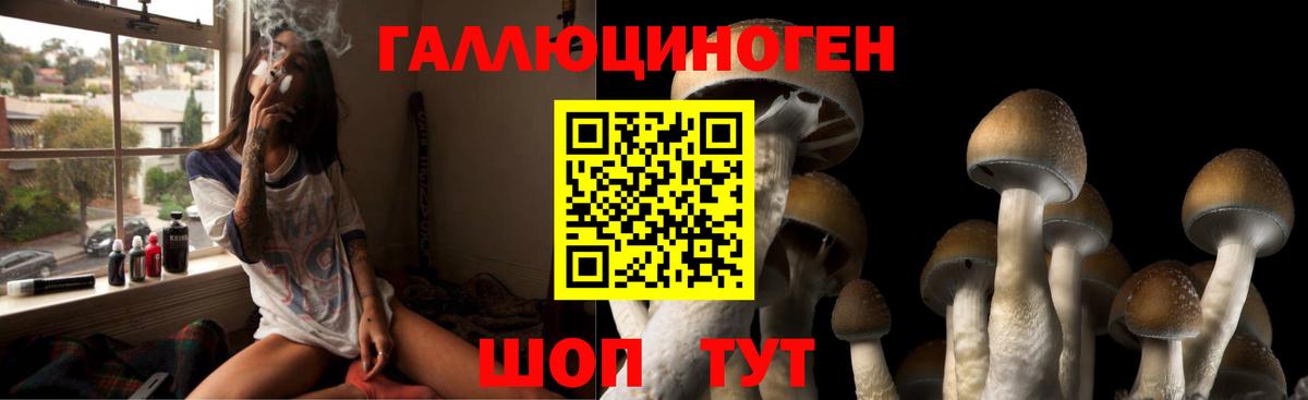 Псилоцибиновые грибы прущие грибы Кимовск